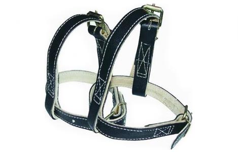 Ремни кожаные для когтей-лазов